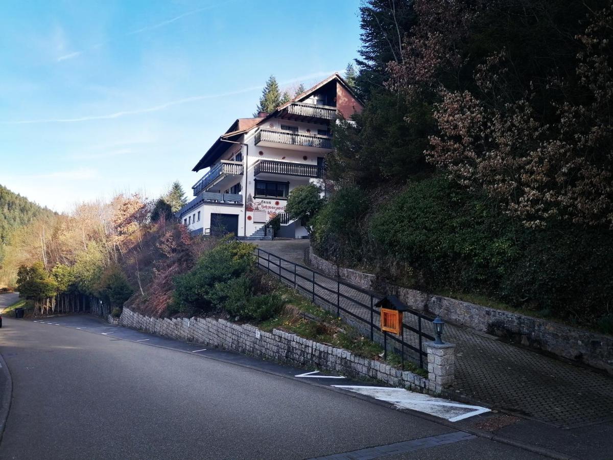 ホルンベルク Haus Schwarzwaldblickヴィラ エクステリア 写真